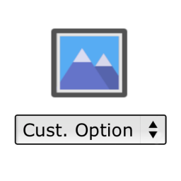 Custom Option Images